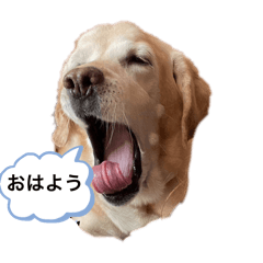 hinamomo_20240627080636