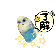 fukumama_20240626215000