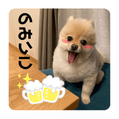 hachikun_20240627101514