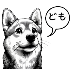 from Shiba Inu