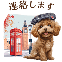 Cute Puppy | Toy poodle | London
