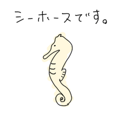 Donnatokimo Sea horse