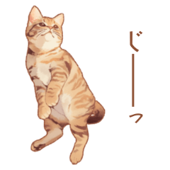 Kawaii tabby cat stickers