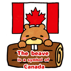 カナダ大好き！カナダのシンボル、ビーバー