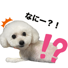 cute dog toy poodle by shiho