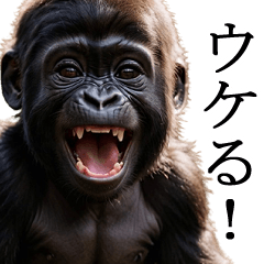 [Usable every day] baby Gorilla