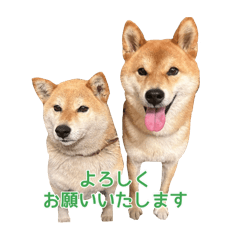 NaNO3_20240627212358