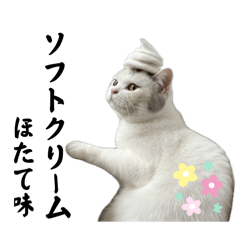 Hotatemama_20240627201547