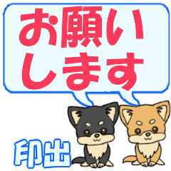 Shirushide's letters Chihuahua2