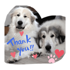 nikotaro_20240627214510