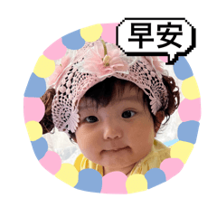 小葫蘆2024-3