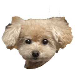 SAYURI_20240627193956