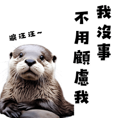 Otter Love Emotional Damage