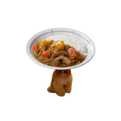 ココてぃん何食べる？？