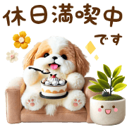 What are you doing? Shih Tzu