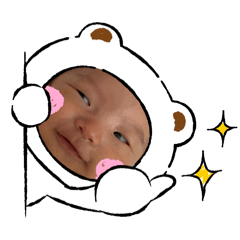 Tanuki_20240627234418