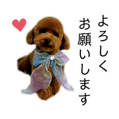 Puku_20240627234816