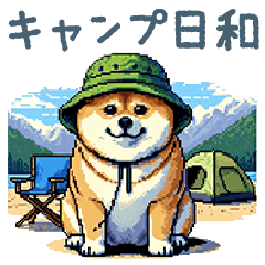 Camping Shiba dog