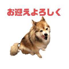 Mumemo_20240628012155