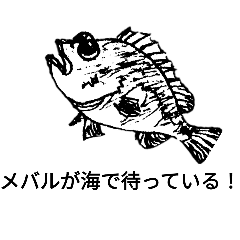 Match the Bait_20240628125129