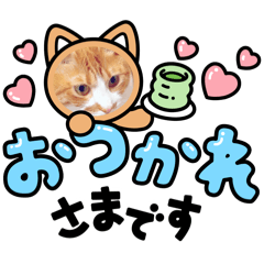 Atchi_20240628134722