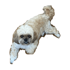 ye_20240628145747