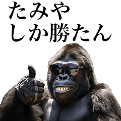 [Tamiya] Funny Gorilla stamps to send
