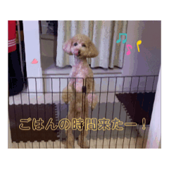 PURIN movie