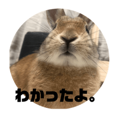 檸檬。れもちです。続。