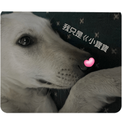 就是一隻屁果果