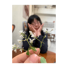 愛愛真