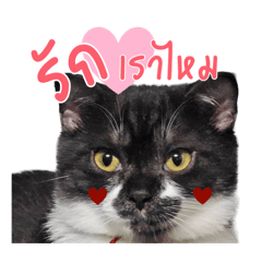 Kitsana_20240628204723 – LINE stickers | LINE STORE