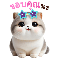 Chubby Kawaii cat : Chat every day (BIG)