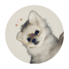 yurinyaaa_20240629005530