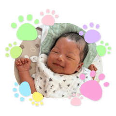 pocomo_20240629080238