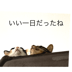 Lisiru_20240628172916