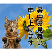 animal summer vacation