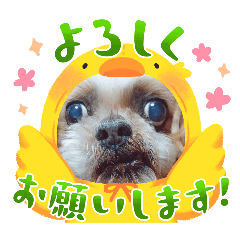 nameko_20240629094932