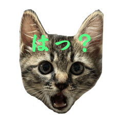 Rio1999_20240629075904