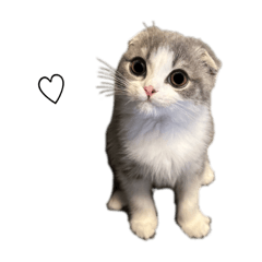 ayu stamp_20240629233319