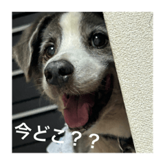 Ayuna._20240628194032