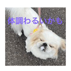 kenmina_20240628221520