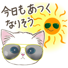 Summer cat's daily sticker