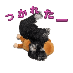chiyo_20240629200710