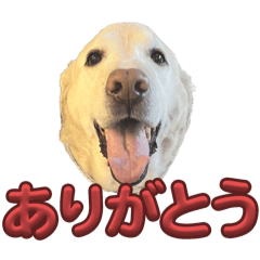 CHISSA_20240629212720