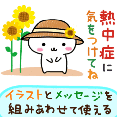 Animation! cute cat in summer.