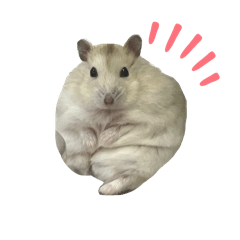 yukariena(busu)_20240630034201