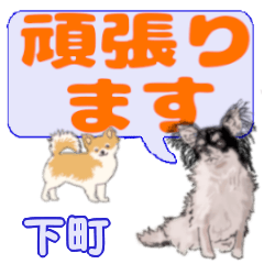 Shitamachi's letters Chihuahua
