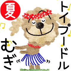 Toy poodle "MUGI" 2024SUMMER