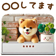 What are you doing? mame shiba [customu]